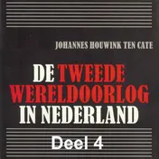 Omslag van De Jodenvervolging