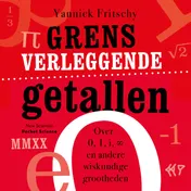 Omslag van Grensverleggende getallen