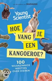 Omslag van Hoe vang je een kangoeroe?