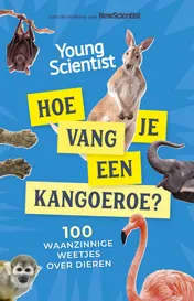 Omslag van Hoe vang je een kangoeroe?