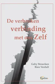 Omslag van De verbroken verbinding