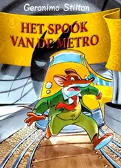 Omslag van Het spook van de Metro