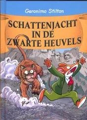 Omslag van Schattenjacht in de zwarte heuvels