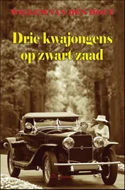 Omslag van Drie kwajongens op zwart zaad