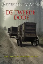 Omslag van De tweede dode