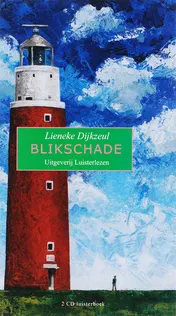 Omslag van Blikschade