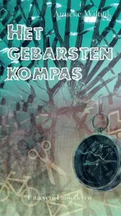 Omslag van Het gebarsten kompas