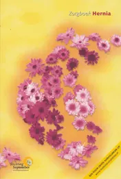 Omslag van Zorgboek Hernia
