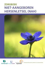 Omslag van Niet-aangeboren hersenletsel