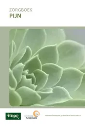 Omslag van Zorgboek pijn
