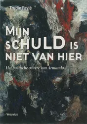 Omslag van Mijn schuld is niet van hier