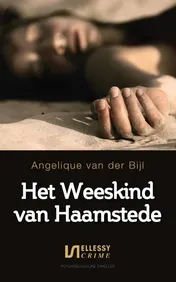 Omslag van Het weeskind van Haamstede