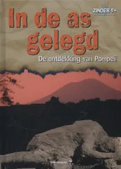 Omslag van In de as gelegd