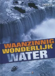 Omslag van Waanzinnig wonderlijk water