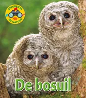 Omslag van De bosuil