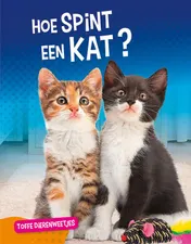 Omslag van Hoe spint een kat?