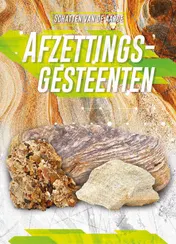 Omslag van Afzettingsgesteenten