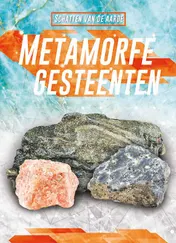 Omslag van Metamorfe gesteenten
