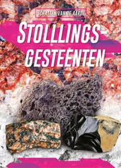 Omslag van Stollingsgesteenten
