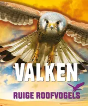 Omslag van Valken
