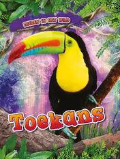 Omslag van Toekans