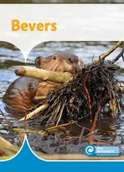 Omslag van Bevers