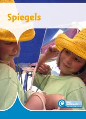 Omslag van Spiegels