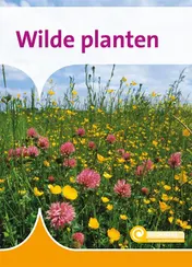 Omslag van Wilde planten