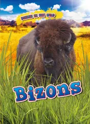 Omslag van Bizons