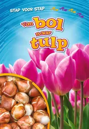 Omslag van Van bol naar tulp