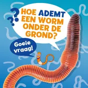 Omslag van Hoe ademt een worm onder de grond?