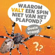 Omslag van Waarom valt een spin niet van het plafond?