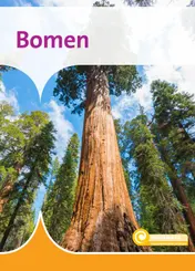Omslag van Bomen
