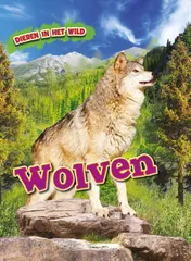 Omslag van Wolven