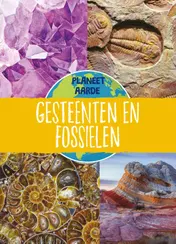 Omslag van Gesteenten en fossielen