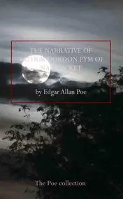 Omslag van The narrative of ARthur Gordon pym of Nantucket