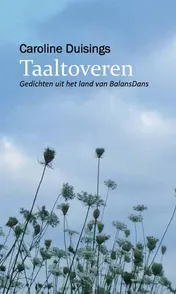 Omslag van Taaltoveren