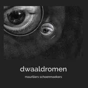 Omslag van Dwaaldromen