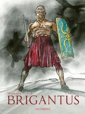 Omslag van De Pict