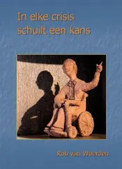 Omslag van In elke crisis schuilt een kans