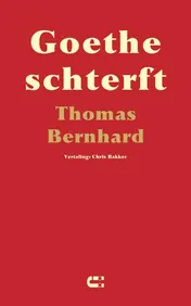 Omslag van Goethe schterft