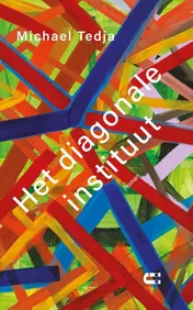 Omslag van Het diagonale instituut