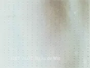 Omslag van Hans de Wit