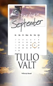 Omslag van Tulio valt