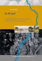 Omslag van In de put