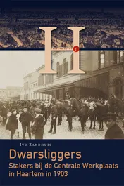 Omslag van Dwarsliggers