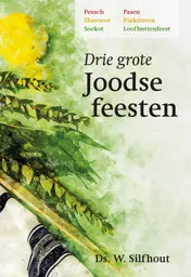 Omslag van Drie grote Joodse feesten