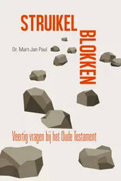 Omslag van Struikelblokken