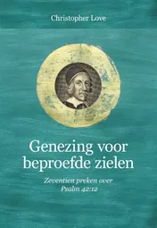 Omslag van Genezing voor beproefde zielen