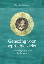 Omslag van Genezing voor beproefde zielen